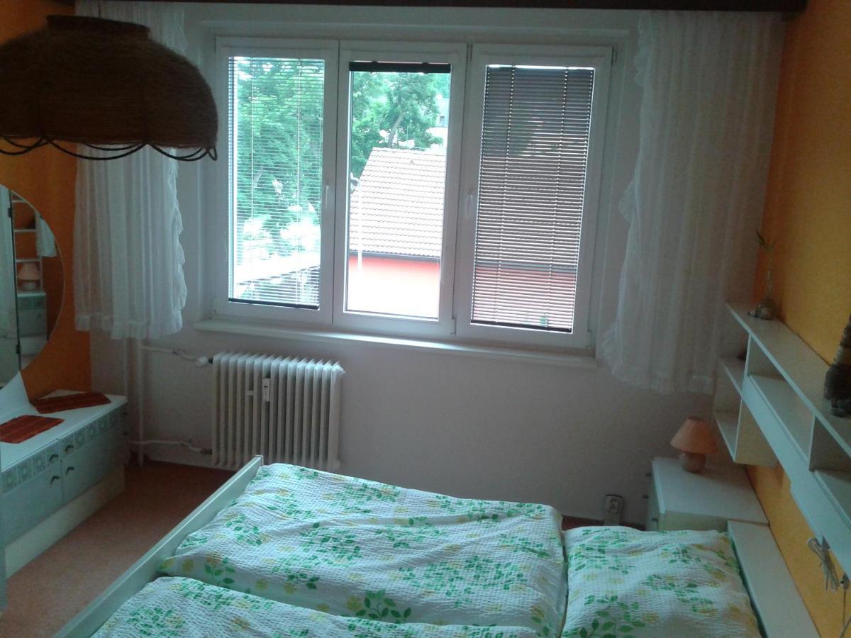 Apartman Csa Františkovy Lázně エクステリア 写真